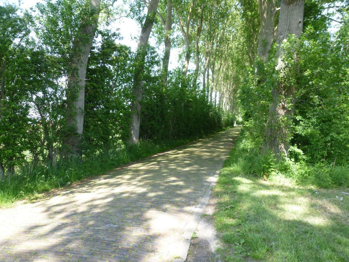 Vila Eikenlaan 8 Ok10 Oostkapelle Exteriér fotografie